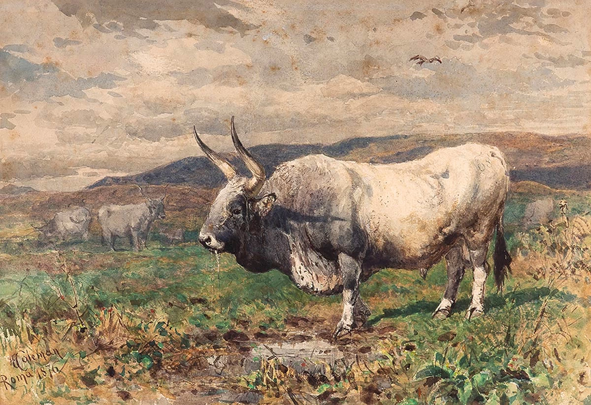 Toro nelle campagne romane, 1876